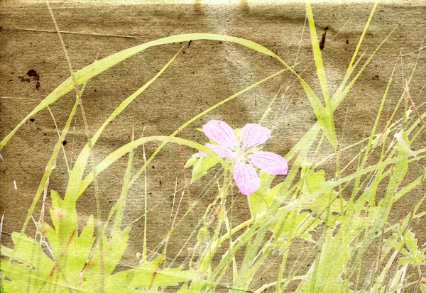 Grunge fundo floral — Fotografia de Stock