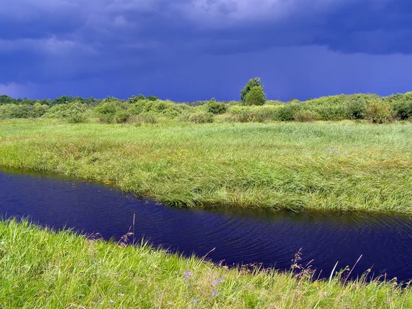 Небольшая река на зеленом поле — стоковое фото