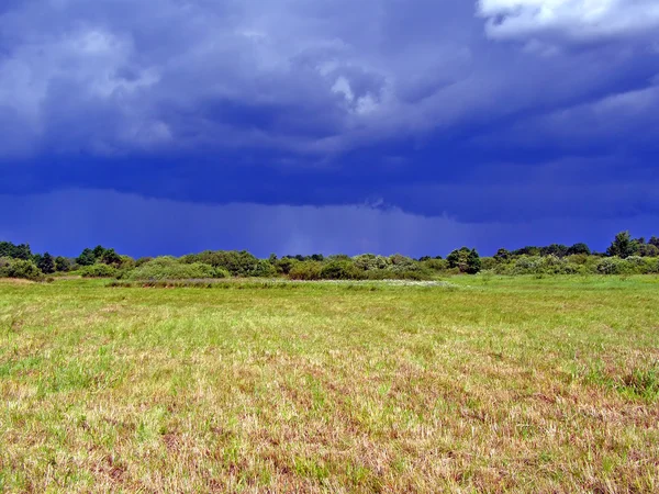 Cocked field before thunderstorm — Stock Photo, Image