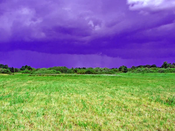 Gespannen veld voordat onweerönce fırtına eğdi alanı — Stockfoto