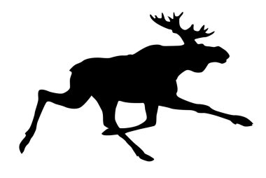 Moose clipart