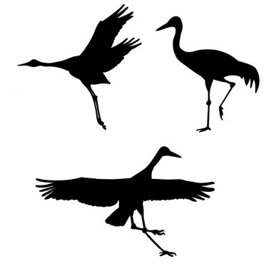 Stork clipart