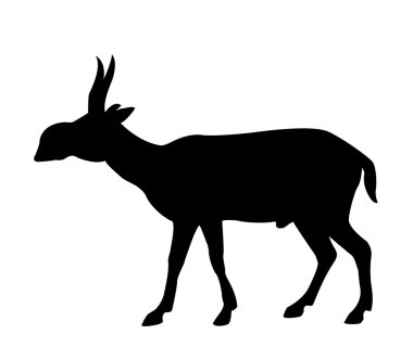 Saiga clipart