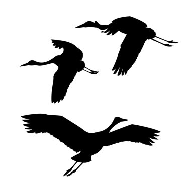 Stork clipart