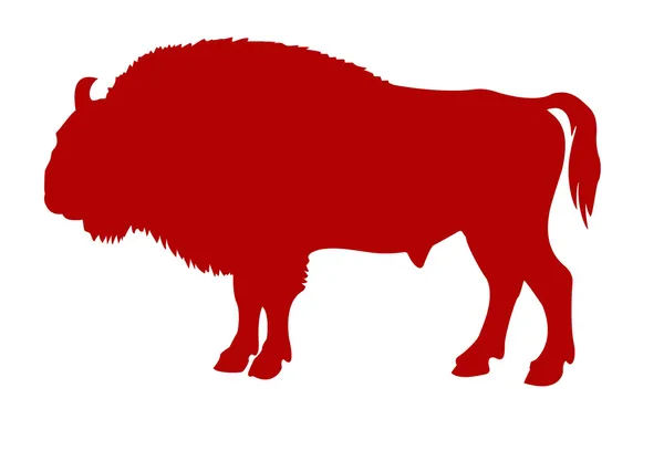 Buffalo — Stock Vector
