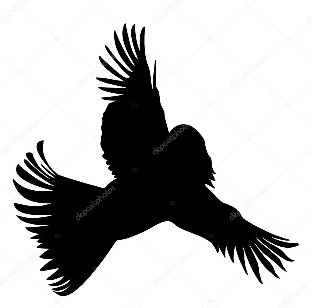 Vector silhouette of the bird with head of the woman