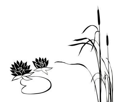 Marsh plants clipart