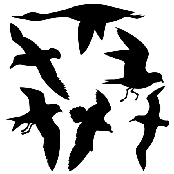 Aves voadoras — Vetor de Stock