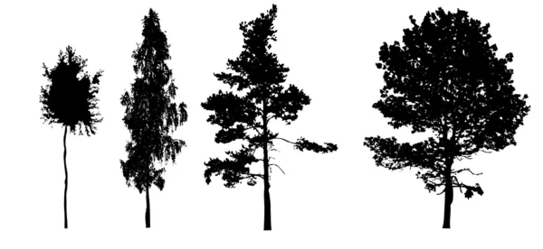 Sziluettek fák — Stock Vector