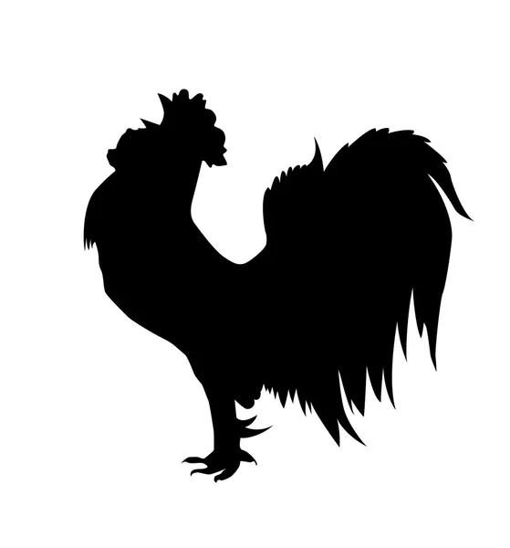 Cock — Stock Vector