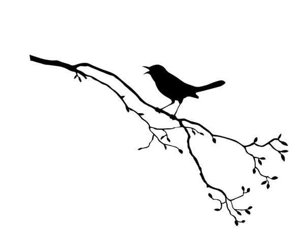 Pájaro en árbol de rama — Vector de stock