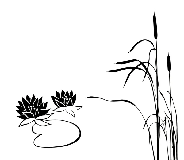沼泽湿地植物 — 图库矢量图片