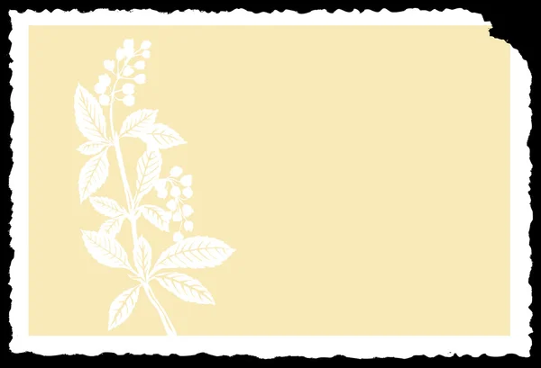 Fondo floral — Archivo Imágenes Vectoriales