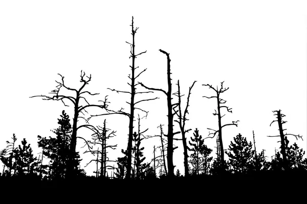 Vieux bois sec — Image vectorielle
