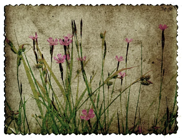 Grunge fond floral — Photo