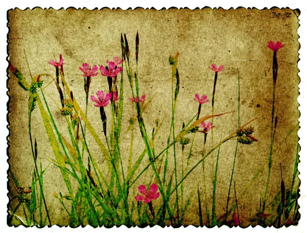 Grunge blommig bakgrund — Stockfoto