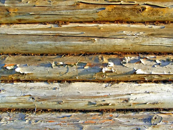 Wall from log — Stock Photo, Image