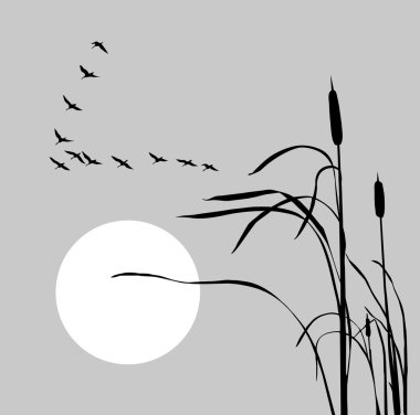 Flock geese on bulrush clipart