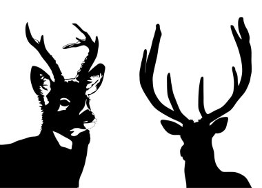 Deer clipart