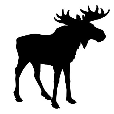 Download Moose Bull Free Vector Eps Cdr Ai Svg Vector Illustration Graphic Art