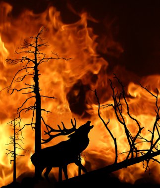 Deer running away from fire in wood clipart