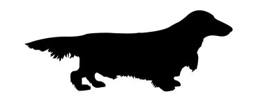 Spaniel clipart