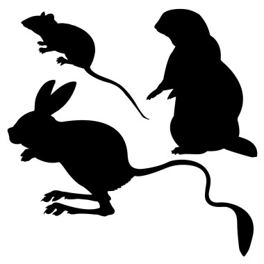 Animals clipart