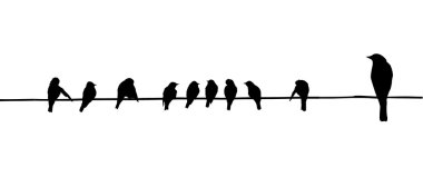 Birds on wire clipart