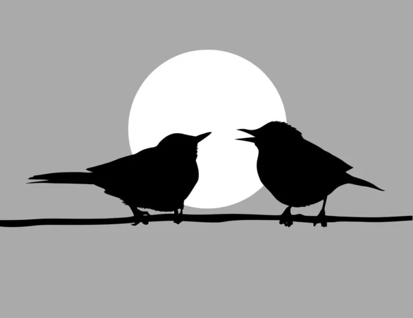 Två fåglar på solar bakgrund — Stock vektor