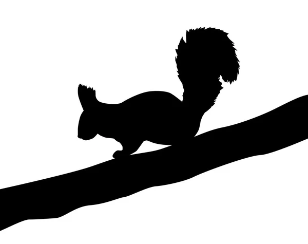Wiewiórka — Wektor stockowy