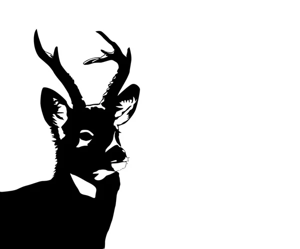 Cerfs — Image vectorielle