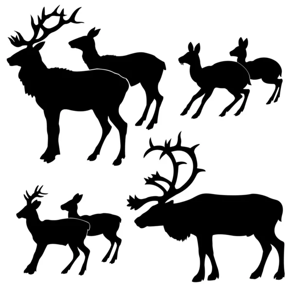 Deers — Stock Vector