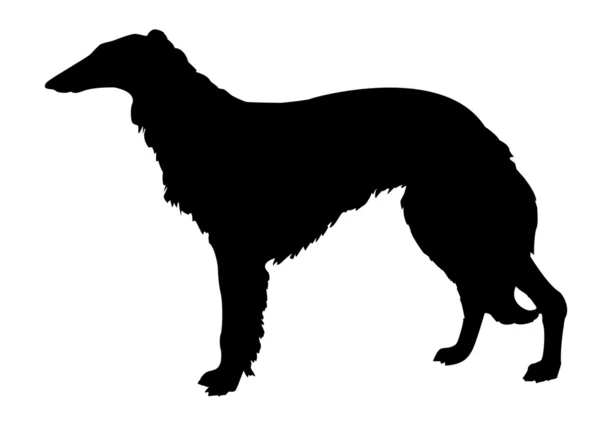 Ποιμενικού σκύλου — Διανυσματικό Αρχείο