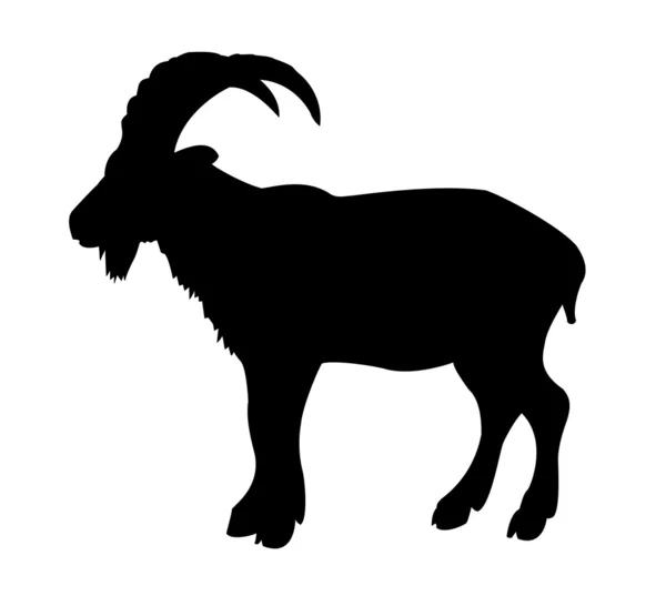 Горный баран — стоковый вектор