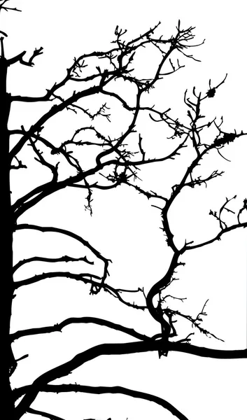 Сухе дерево — стоковий вектор