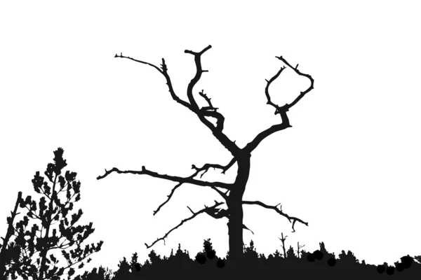 Trockener Baum — Stockvektor