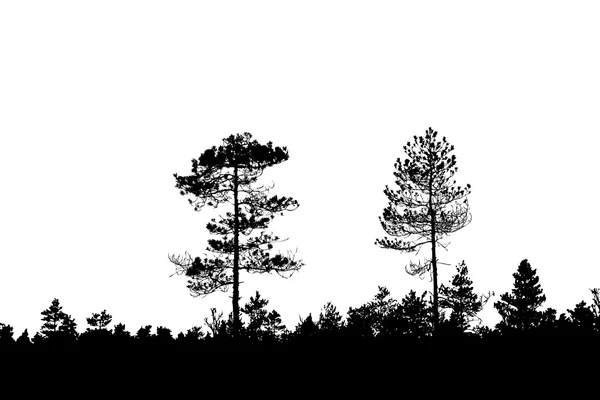 Bois — Image vectorielle