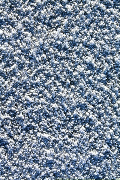 Textura do sol iluminado neve — Fotografia de Stock