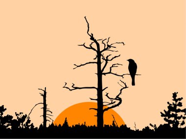 Silhouette of the bird clipart