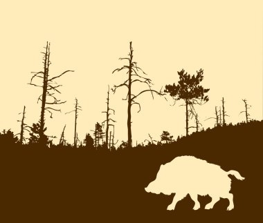 Wild boar clipart