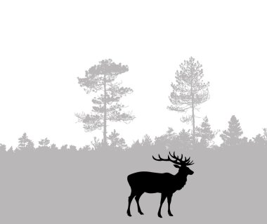 Deer clipart