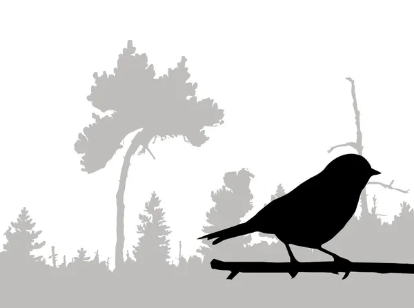 Vogel auf Ast — Stockvektor