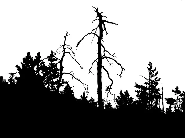 Διάνυσμα σιλουέτα ξηρό δέντρο στο άγριο ξύλο — Διανυσματικό Αρχείο