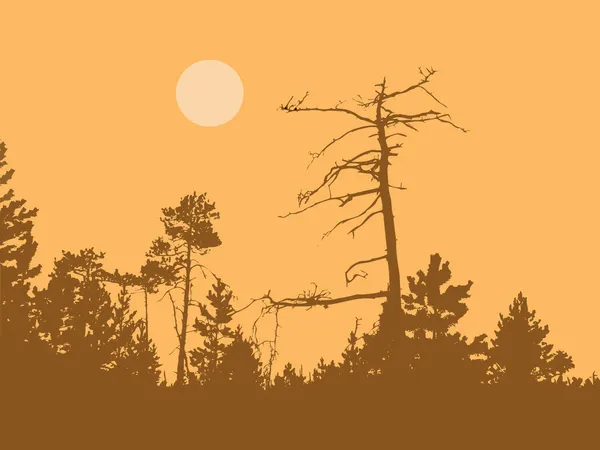 Dry tree in wild wood — Stok Vektör
