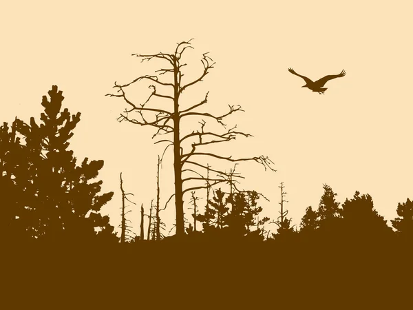 古い木のシルエット — ストックベクタ