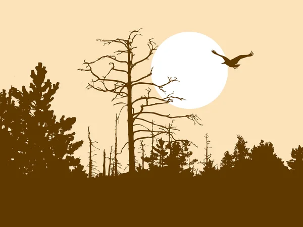Silhouette old wood — Stockvector