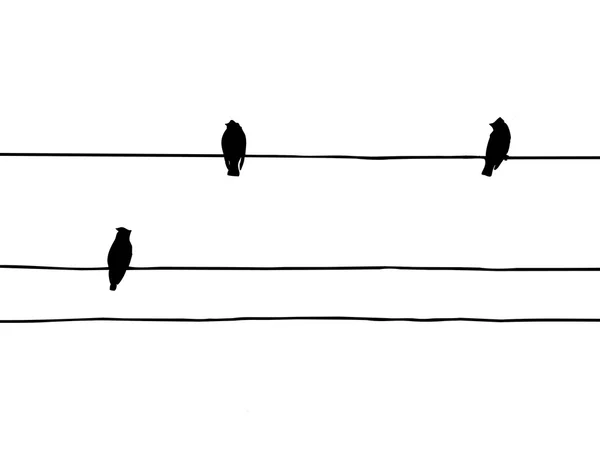 Silhuett av fåglar — Stock vektor
