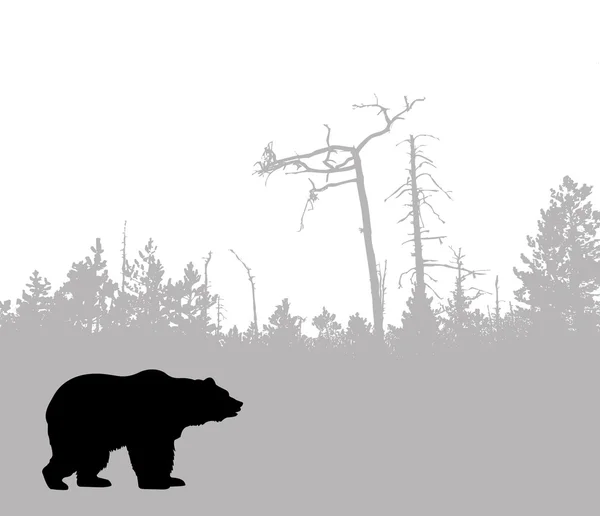 Silhouette bear — Stock Vector