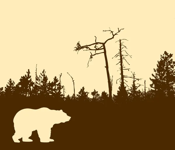 Sylwetka niedźwiedź — Wektor stockowy