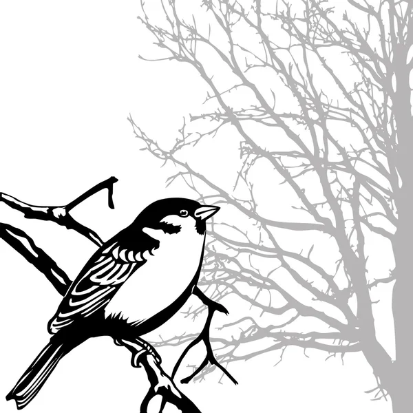 Pájaro — Archivo Imágenes Vectoriales